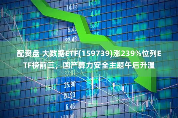 配资盘 大数据ETF(159739)涨239%位列ETF榜前三,国产算力安全主题午后升温