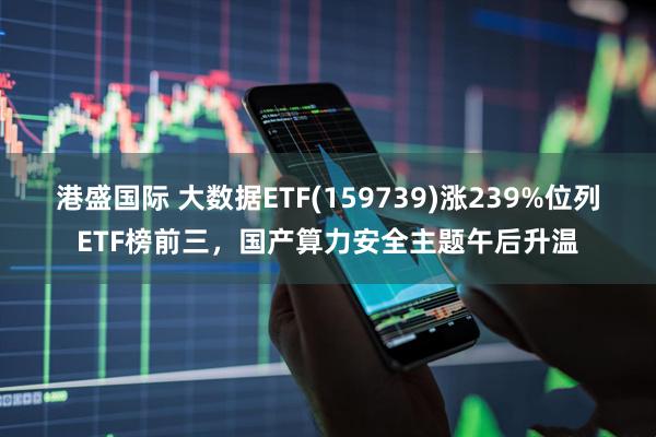 港盛国际 大数据ETF(159739)涨239%位列ETF榜前三，国产算力安全主题午后升温